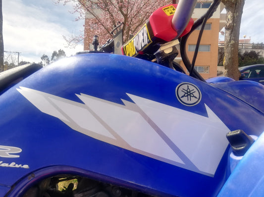 Raptor 660R - YFM 660 Quad Decals - 4x4 ATV - Fits Yamaha - Sticker Kit